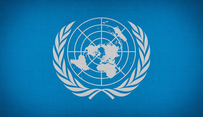 Model United Nations – Warum es sich lohnt mitzumachen und was du beachten musst!